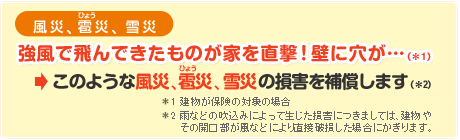 このような風災・雹災(ひょうさい)・雪災による損害を補償します