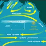 東日本大震災津波の漂流物、アメリカに漂着